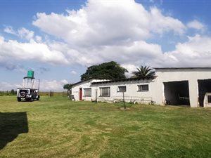3 Bed House in Bapsfontein