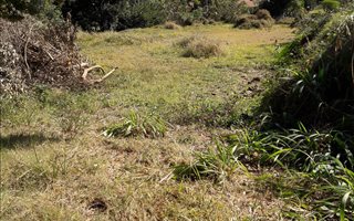 1803 m² Land available in Hillcrest Park