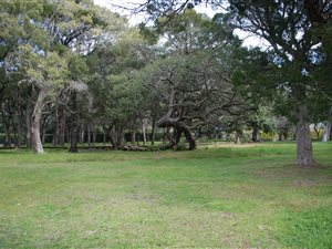 642 m² Land available in Lake Brenton