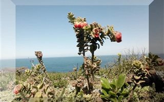 980 m² Land available in Village On Sea