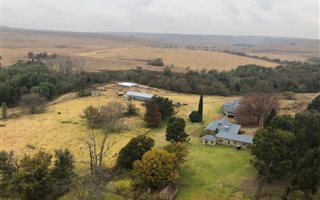 Farm in Ermelo