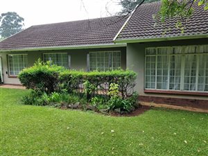 3 Bed House in Howick
