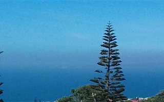 1 Bedroom Flat in Dana Bay