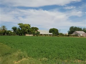 4 Bed House in Kakamas