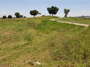 3087 m² Land available in Serengeti