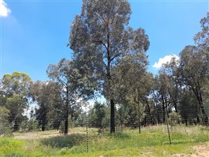 2.1 ha Land available in Walkers Fruit Farms