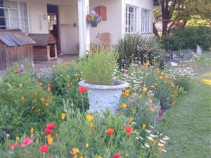 19 ha Farm in Howick