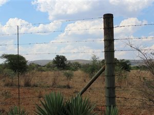 8.5 ha Farm in Bela-Bela (Warmbaths)