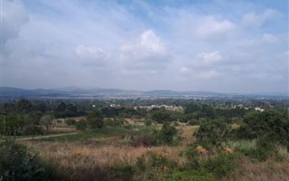 1 ha Land available in Rispark