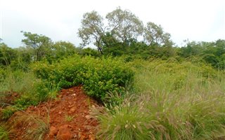 1072 m² Land available in Cashan