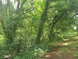 1 ha Farm in Hartbeespoort Dam