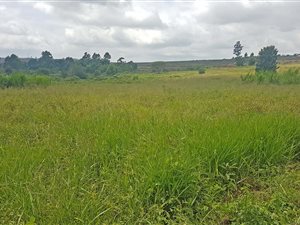 9450 m² Land available in White River Country Estate