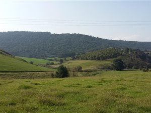 16 ha Farm in Lidgetton