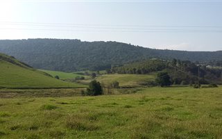 16 ha Farm in Lidgetton