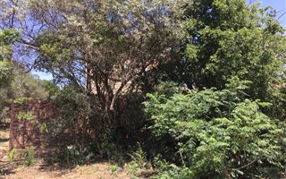 1159 m² Land available in Helderfontein Estate