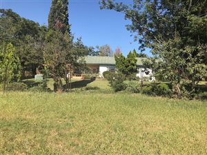 3000 m² Smallholding in Dainfern Valley