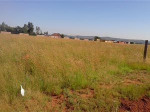 2 ha Land available in Ophir AH