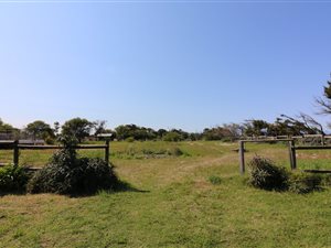 6.9 ha Farm in Philippi