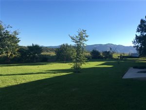 241 ha Farm in Polokwane Central