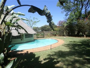 Farm in Rietfontein