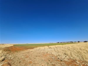 167 ha Farm in Pellissier