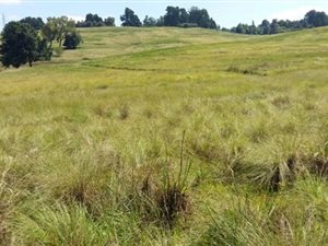3120 m² Land available in Nottingham Road