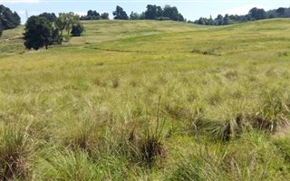 3120 m² Land available in Nottingham Road