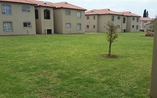 2 Bedroom Apartment in Morehill
