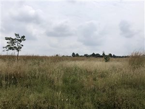 1 ha Land available in Sun Valley