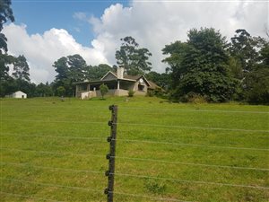 11.7 ha Farm in Thornville