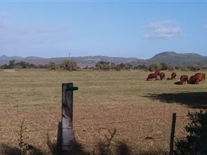 284 ha Farm in Gouritsmond