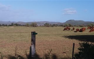 284 ha Farm in Gouritsmond
