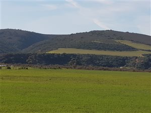 284 ha Farm in Gouritsmond