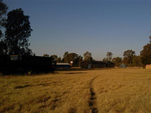 116 ha Farm in Witbank
