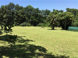 2.1 ha Farm in Port Edward