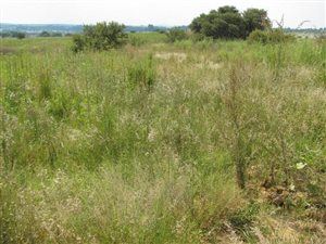 4 ha Farm in Mooiplaats AH