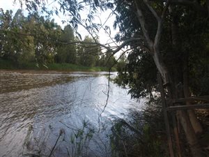 10 ha Farm in Swellendam