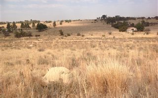 9 ha Farm in Laezonia