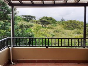 2 Bed Apartment in Sheffield Beach