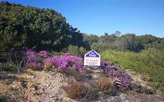 1242 m² Land available in Great Brak River