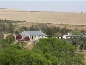 94 ha Farm in Swellendam