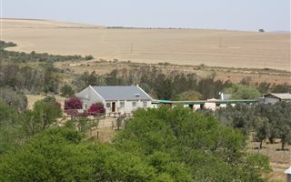 94 ha Farm in Swellendam
