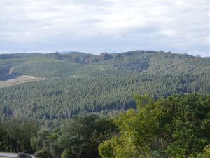 6111 m² Land available in Pezula Private Estate
