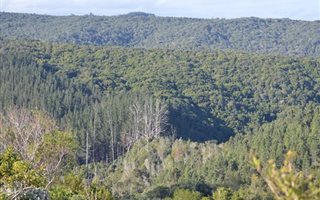 6111 m² Land available in Pezula Private Estate