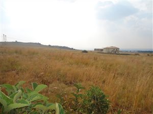 1243 m² Land available in Berg en Dal