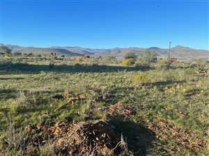 609 m² Land available in Cradock