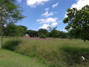 1 ha Land available in White River AH