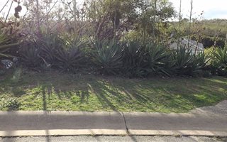 431 m² Land available in Westering