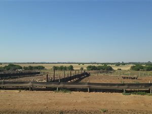 650 ha Farm in Wesselsbron