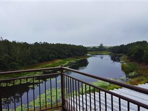 42.4 ha Farm in Sinksa Bridge